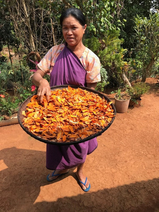 Natural Dyeing at UMDEN