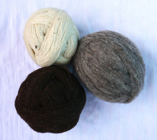 Dunda village Uttarkashi