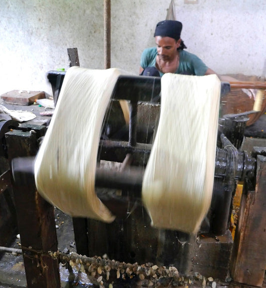 RAMNAGAR, Karnataka – Mulberry silk production