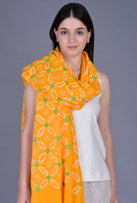 Yellow Applique Dupatta