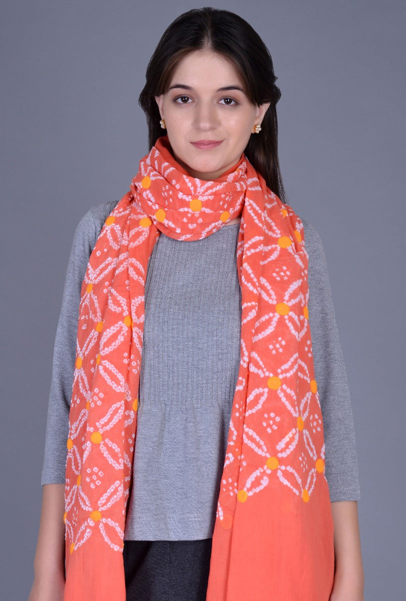 Coral Applique Dupatta