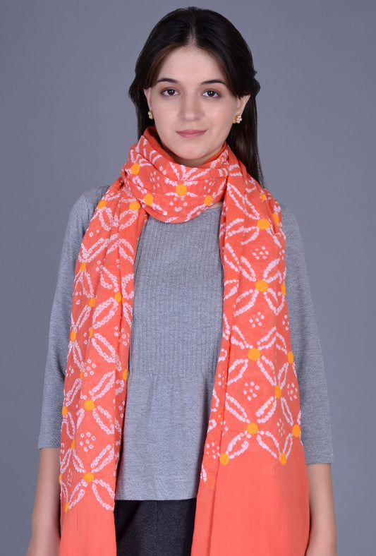 Coral Applique Dupatta