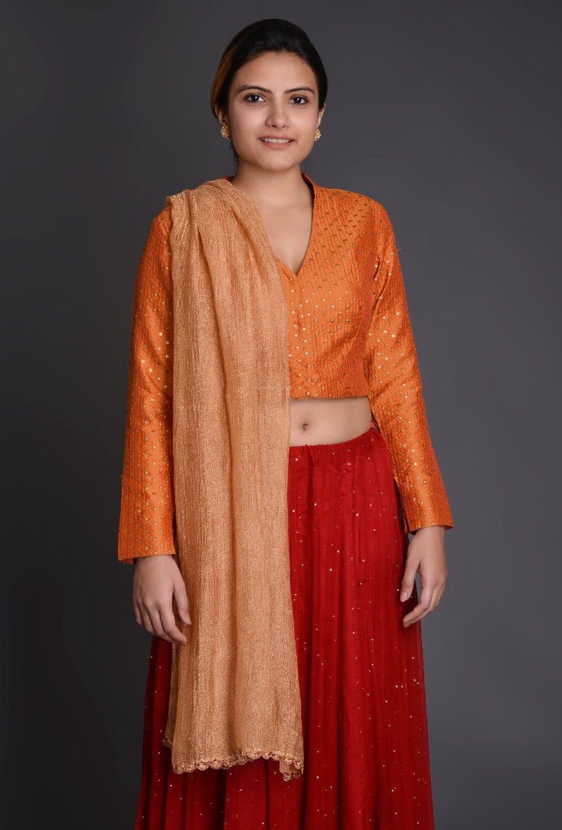 Chiffon Mookesh Skirts